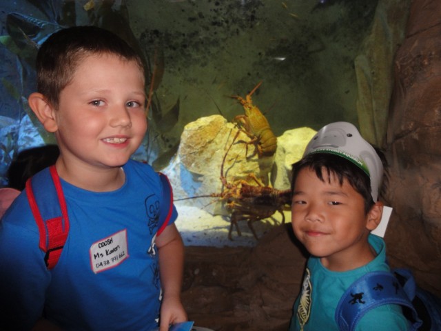 Ezidebit Dishonour Fee Increase